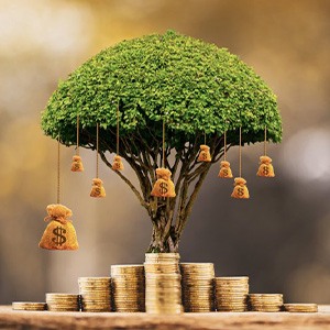 A small tree with money bags hanging off the branches