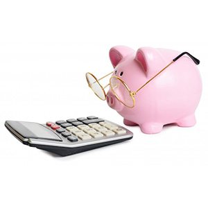 Piggy bank with glasses looking at a calculator